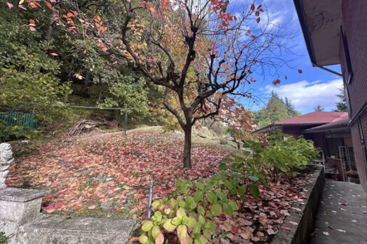 Villa singola di ampie dimensioni