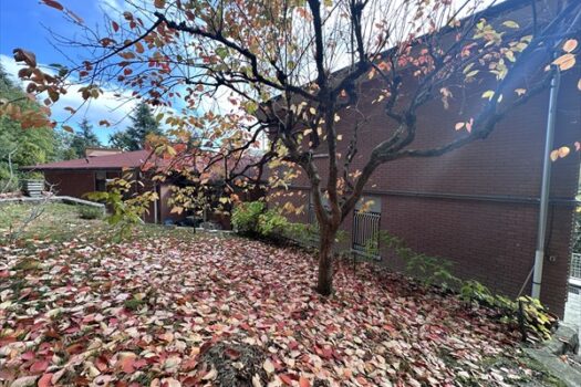 Villa singola di ampie dimensioni