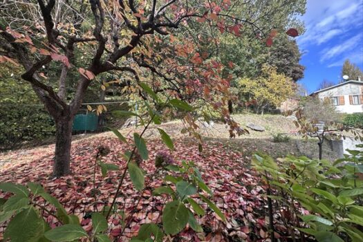 Villa singola di ampie dimensioni